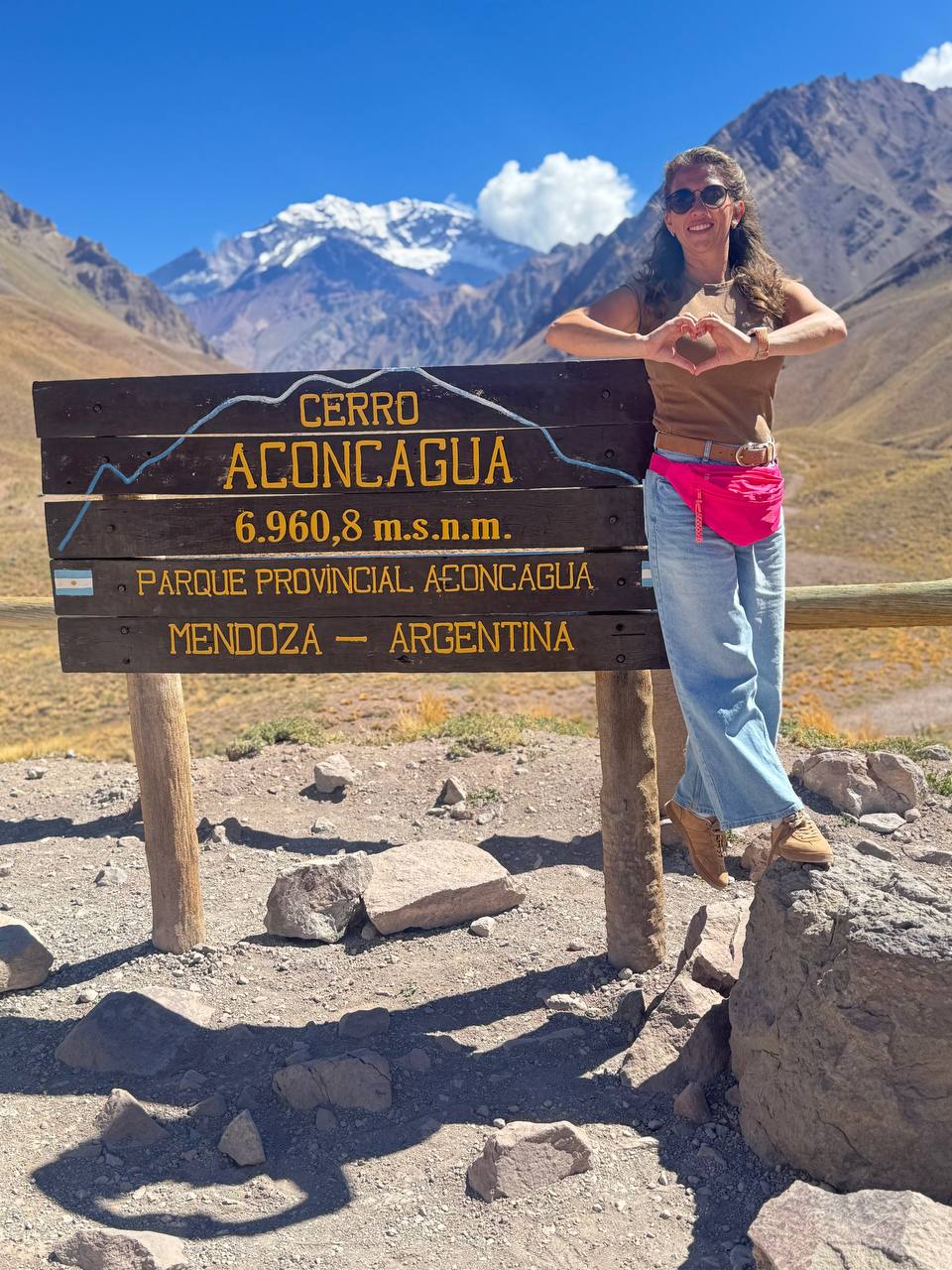 Aconcagua and the Andes